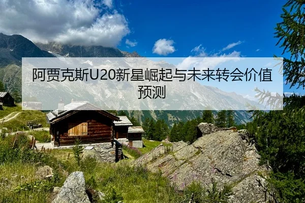 阿贾克斯U20新星崛起与未来转会价值预测